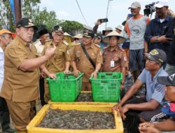 Gubernur Arinal Dorong Pertambakan Udang di Lampung  Bangkit dan Berjaya Kembali