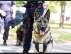 K-9 Baharkam Polri Kunci  dalam Ungkap Narkotika di Pelabuhan Bakauheni