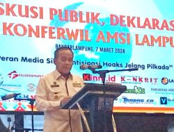 AMSI LAMPUNG : Peran Media Siber Antisipasi Hoaks Jelang Pilkada