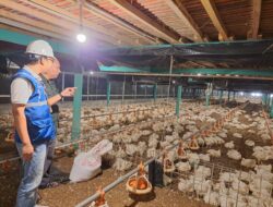 Tarif Listrik April-Juni 2024 Tetap, Pemerintah Perhatikan Daya Beli Masyarakat dan Dukung PLN Jaga Mutu Pelayanan