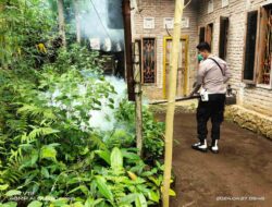 Penyemprotan Fogging Antisipasi Demam Berdarah di Tanggamus
