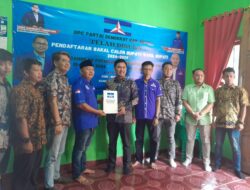 Alkat dan Fuad Daftar Penjaringan Cakada di PPP dan Demokrat.