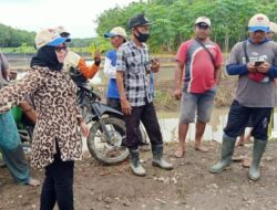 DPRD Mesuji Minta Perbaikan Jalan Jadi Prioritas