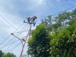 Pohon Tumbang Sebabkan Tiang Listrik Patah, PLN UID Lampung Gerak Cepat Normalkan Pasokan Listrik