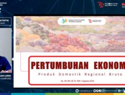 BPS Mencatat Perkonomian Provinsi Lampung Tumbuh sebesar 4,80 Persen
