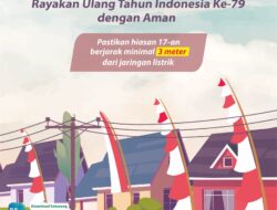 Catat Tips Listrik PLN Tetap Aman Saat Rayakan Kemeriahan HUT RI 79