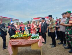 Kemeriahan Perayaan HUT Ke- 54 Tahun Desa Purnama Tunggal