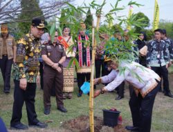 Pj Gubernur Lampung Tanam Bambu di Kantor Bupati Pringsewu^