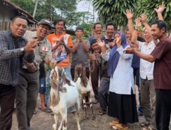 Yusnadi Dorong Pemberdayaan Ekonomi Masyarakat dengan Pemberian Babon Kambing