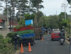 Peran BUMN Dalam Memperingati Hari Sumpah Pemuda, PLN dan DLH Kolaborasi Amankan Pengendara dan Jaringan Listrik dari Bahaya Pohon