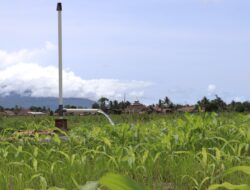 Refleksi Hari Pahlawan, Local Hero Inspiratif! Suparmin berhasil wujudkan ketahanan pangan di Lampung Selatan melalui bantuan PLN Peduli