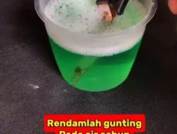 Cara sederhana mengembalikan ketajaman gunting yang tumpul dan berkarat
