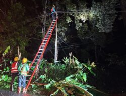 PLN Himbau Warga Lampung Tetap Waspada Bahaya Kelistrikan di Tengah Cuaca Ekstrem