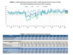 Optimisme Konsumen Terhadap Perekonomian Lampung Pada  Februari 2025 Tetap Kuat