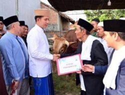 Masyarakat Lamsel Terima Bantuan  Sapi Kurban Dari Persiden Melalui  Bupati Egi