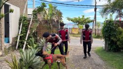 WSL Krui Pro 2025: Tim K9 Polda Lampung Intensifkan Penyisiran di Lokasi Event