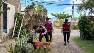 WSL Krui Pro 2025: Tim K9 Polda Lampung Intensifkan Penyisiran di Lokasi Event