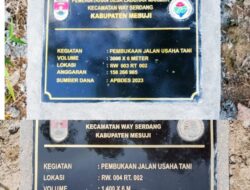 Kemunculan Prasasti, Gegerkan Warga Desa Labuhan Makmur