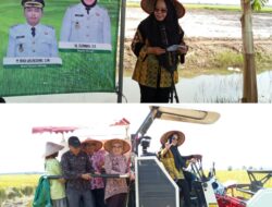 Semangat Baru Bergerak Disektor Pertanian Menuju Swasembada Pangan