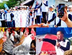 Gubernur Lampung, Minta Khamami Jadikan Mesuji Lumbung Ayam Kampung
