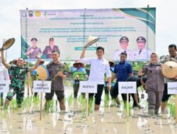 Pemkab Lampung Selatan dan Kejati Lampung Dorong Ketahanan Pangan lewat Ekspansi Padi Biosalin di Sragi