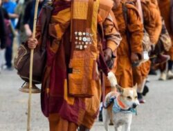 Kesetiaan Aloka dan Anjing Yudhistira