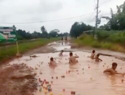 Viral Jalan Rusak Disulap Jadi ‘Telaga Sewu’, Pemkab Lamtim Gerak Cepat