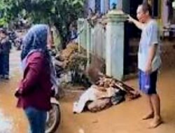 Lesti Putri Utami Tinjau Lokasi Banjir di Desa Kertosari Lampung Selatan