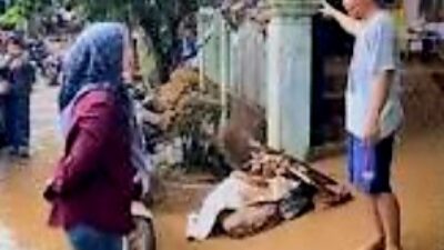 Lesti Putri Utami Tinjau Lokasi Banjir di Desa Kertosari Lampung Selatan