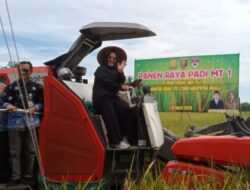 Panen Raya Padi MT I dan Penyerahan Bantuan Alsintan Digelar di Rawa Jitu Utara