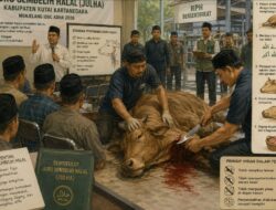 Pisau, Doa, dan Darah yang Harus Mengalir Sempurna