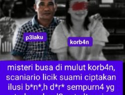 Sampo, Jendela, dan Kebohongan yang Hampir Sempurna