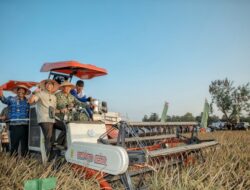 Gubernur Lampung Ikuti Panen Raya TNI Serentak Dukung Swasembada Pangan